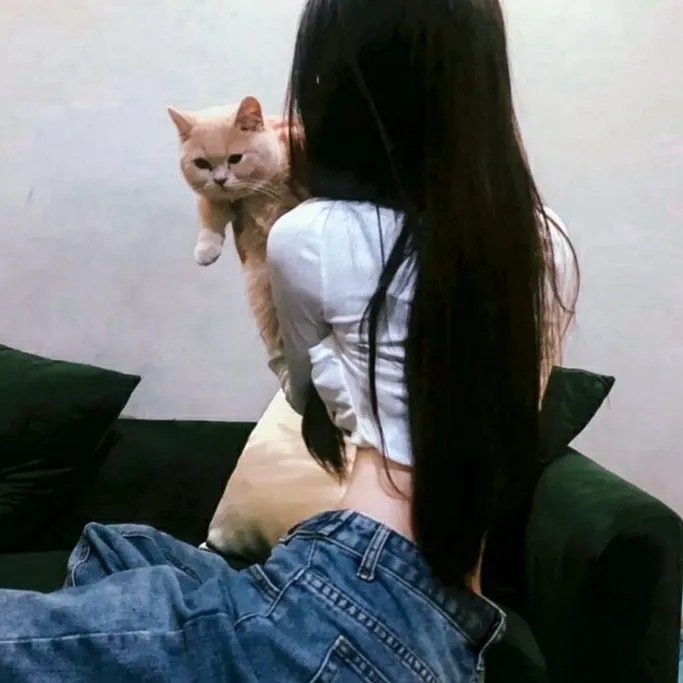 疯狂的心 在线观看封面